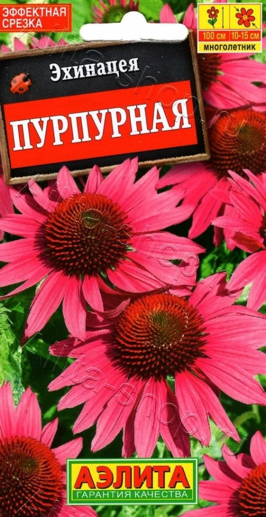 Устойчивые к засухе многолетники