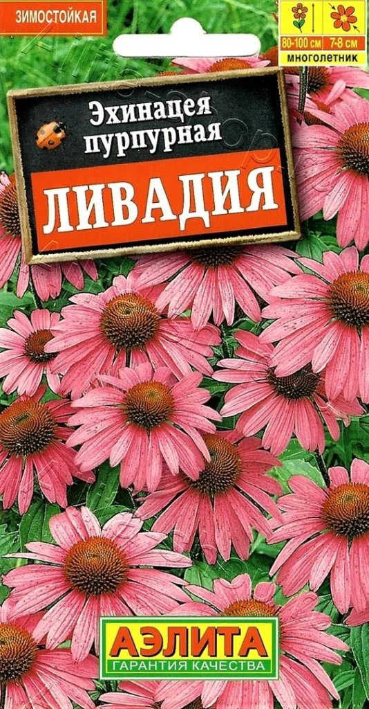 Устойчивые к засухе многолетники