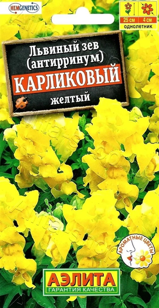 Устойчивые к засухе многолетники