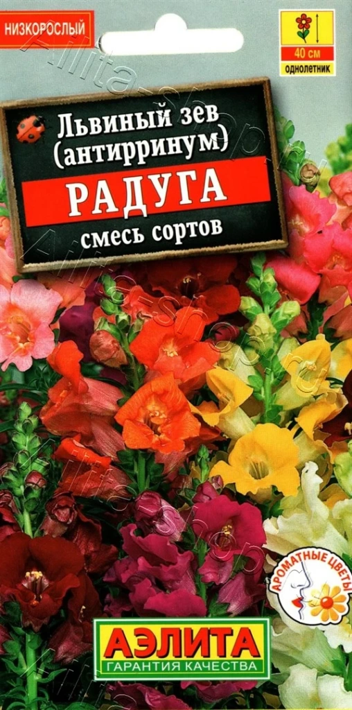 Устойчивые к засухе многолетники