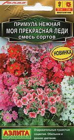 Примула Моя прекрасная леди, смесь сортов 7шт