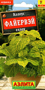 Колеус Файервэй еллоу 5шт