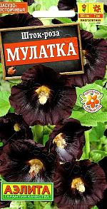 Шток-роза Мулатка 10шт