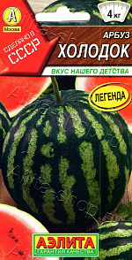 Арбуз Холодок 1г