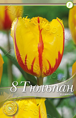 Тюльпан (бахромчатый) Фламенко 8шт