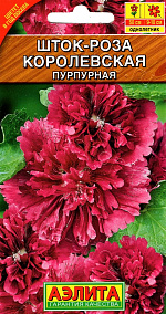 Шток-роза Королевская пурпурная 10шт