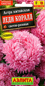 Астра Леди Коралл светло-розовая 25шт