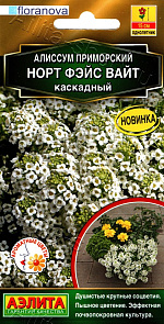 Алиссум Норт фэйс вайт каскадный 10шт