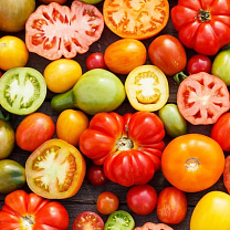 10 самых сладких сортов томатов, которые обязательно нужно попробовать