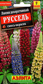 Люпин Руссель, смесь сортов 15шт