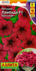 Петуния Ламбада F1 бургунди многоцветковая 7шт