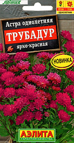 Астра Трубадур ярко-красная 20шт