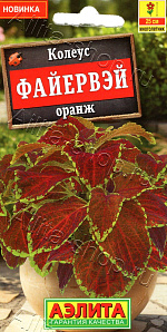 Колеус Файервэй оранж 5шт