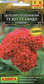 Целозия гребенчатая Ту хот ту хандл скарлет 5шт