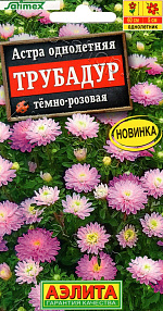 Астра Трубадур тёмно-розовая 20шт