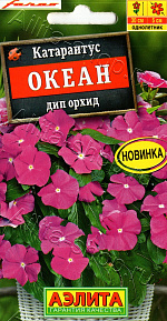 Катарантус Океан дип орхид 10шт