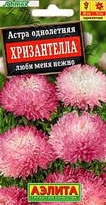 Астра Хризантелла люби меня нежно 15шт