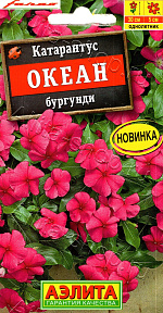 Катарантус Океан бургунди 10шт