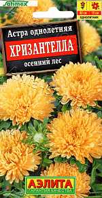 Астра Хризантелла осенний лес 15шт