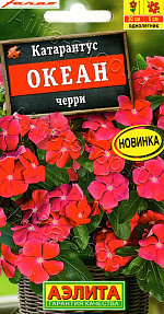 Катарантус Океан черри 10шт