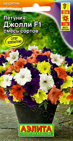 Петуния Джолли F1 многоцветковая, смесь окрасок 7шт