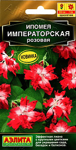 Ипомея Императорская розовая 9шт