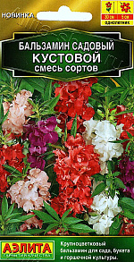 Бальзамин садовый Кустовой, смесь сортов 0,2г