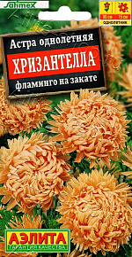 Астра Хризантелла фламинго на закате 15шт
