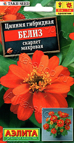 Цинния Белиз скарлет махровая 5шт