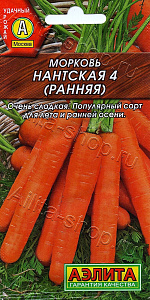 Морковь Нантская 4 (ранняя) 2г