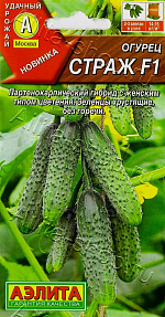 Огурец Страж F1 10шт