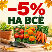 Заглянем в будущий сезон: скидка 5% на всё!