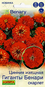 Цинния Гиганты Бенари скарлет 7шт