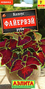 Колеус Файервэй руби 5шт
