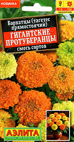Бархатцы Гигантские протуберанцы прямостоячие, смесь сортов 0,1г