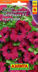 Петуния Балерина бургунди крупноцветковая F1 7шт