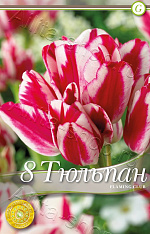 Тюльпан (многоцветковый) Фламинг Клаб 8шт