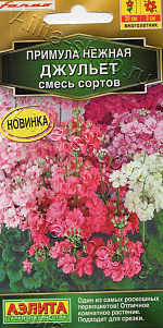 Примула Джульет махровая, смесь сортов 7шт