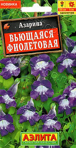 Азарина вьющаяся Фиолетовая 5шт