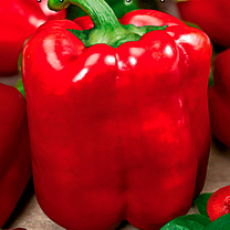 Гид по перцам: выбираем самые сладкие, самые мясистые и самые урожайные сорта