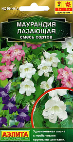 Маурандия лазающая, смесь сортов 5шт