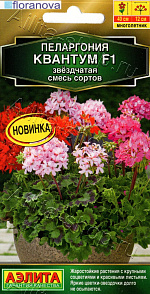 Пеларгония садовая Квантум F1, смесь сортов 4шт
