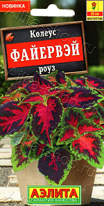 Колеус Файервэй роуз 5шт