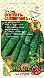 Огурец Скатерть-самобранка F1 10шт