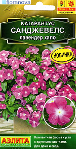 Катарантус Санджевелс лавендер хало 7шт