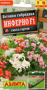 Бегония гибридная Инферно F1, смесь сортов 5шт