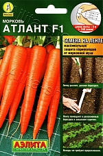 Морковь Атлант F1 8м