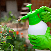 Защита от вредителей: проверенные инсектициды для сада и огорода