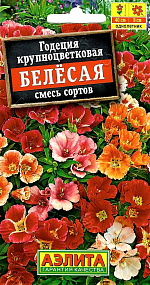 Годеция крупноцветковая белесая, смесь сортов 0,05г