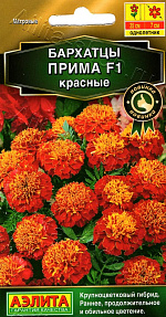 Бархатцы Прима красные F1 отклоненные 10шт